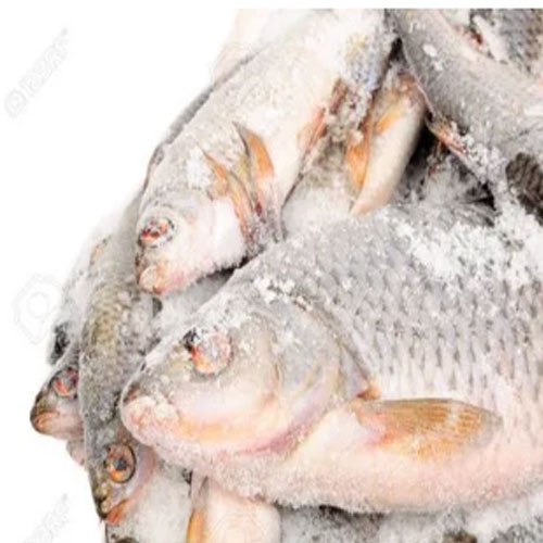 Frozen Fish In india