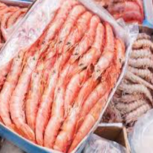 Frozen Seafood In india